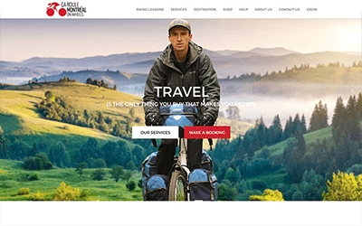 Portfolio Image